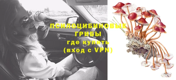 прущая мука Алзамай
