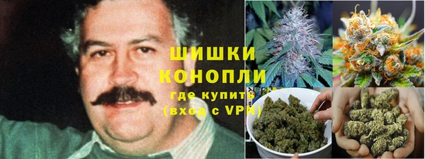 прущая мука Алзамай
