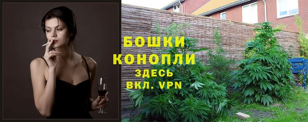мескалин Алексин