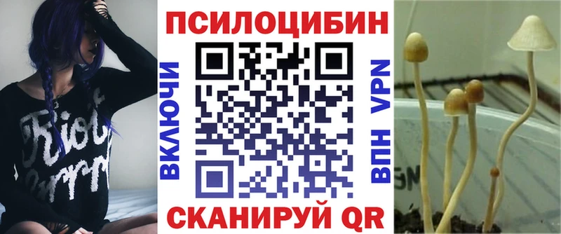 Галлюциногенные грибы Psilocybine cubensis  мориарти как зайти  Палласовка  где купить  
