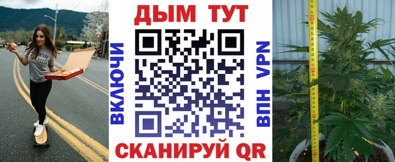 где купить   Палласовка  Канабис Bruce Banner 